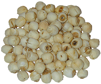 Lotus Seeds